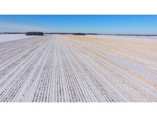 Property photo 21 - OHIO REAL ESTATE AUCTION - 202+/- ACRES IN 3 TRACTS IN VAN WERT COUNTY, OHIO